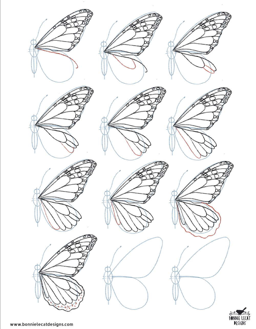 This is How to Draw a Butterfly in 10 Steps | Skillshare Blog