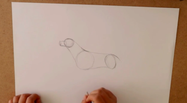 Create your dog outline using basic shapes such as circles.