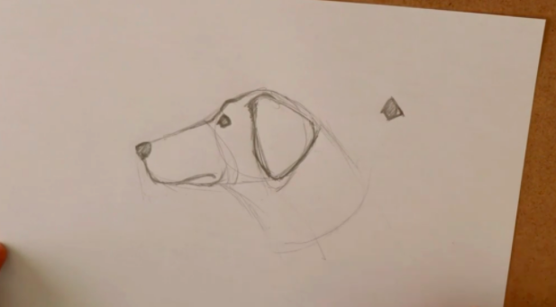 By adding a nose, mouth, eyes, and ears, your dog outline is complete!