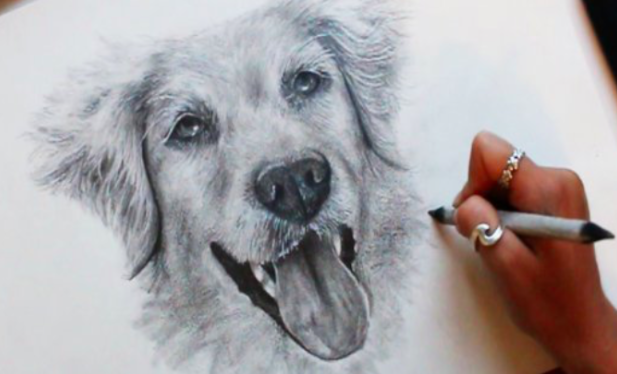Drawing fur will make your dog drawing come to life.