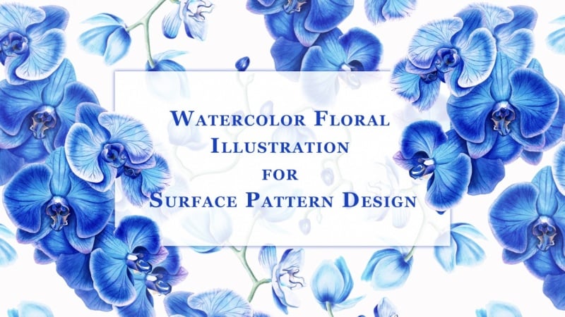 Illustrate detailed botanical florals for surface patterns with Katya