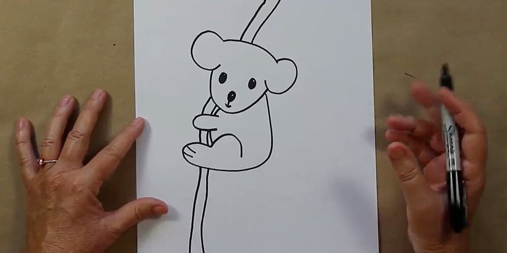 como desenhar um coala