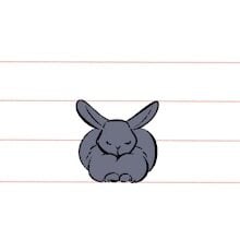 bunny drawing
