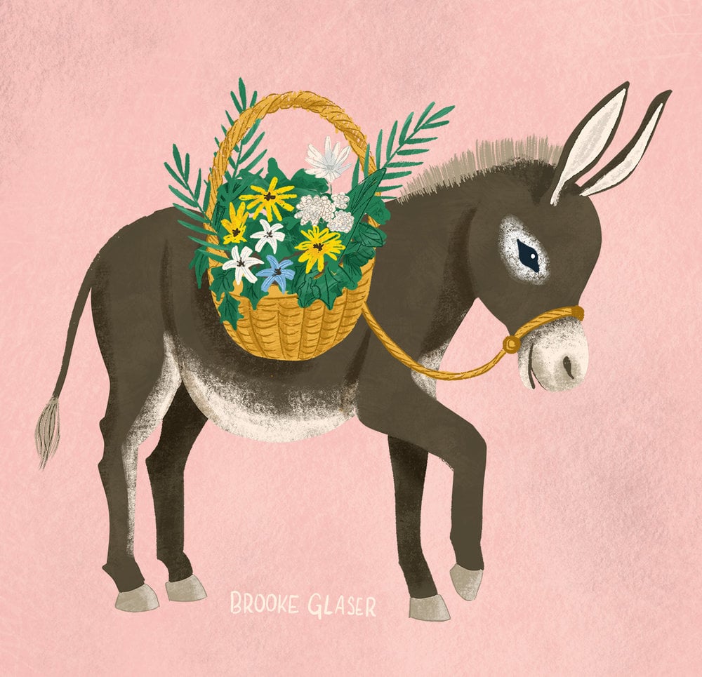 Image Source: Brooke Glaser