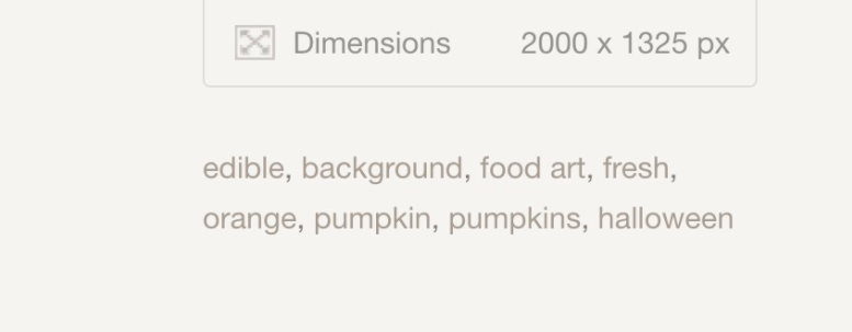 specifictagsfind_creativemarket