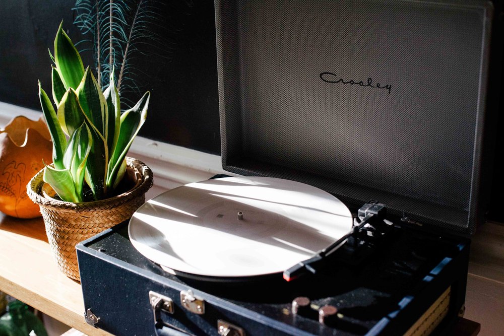 light-vintage-plant-morning.jpg