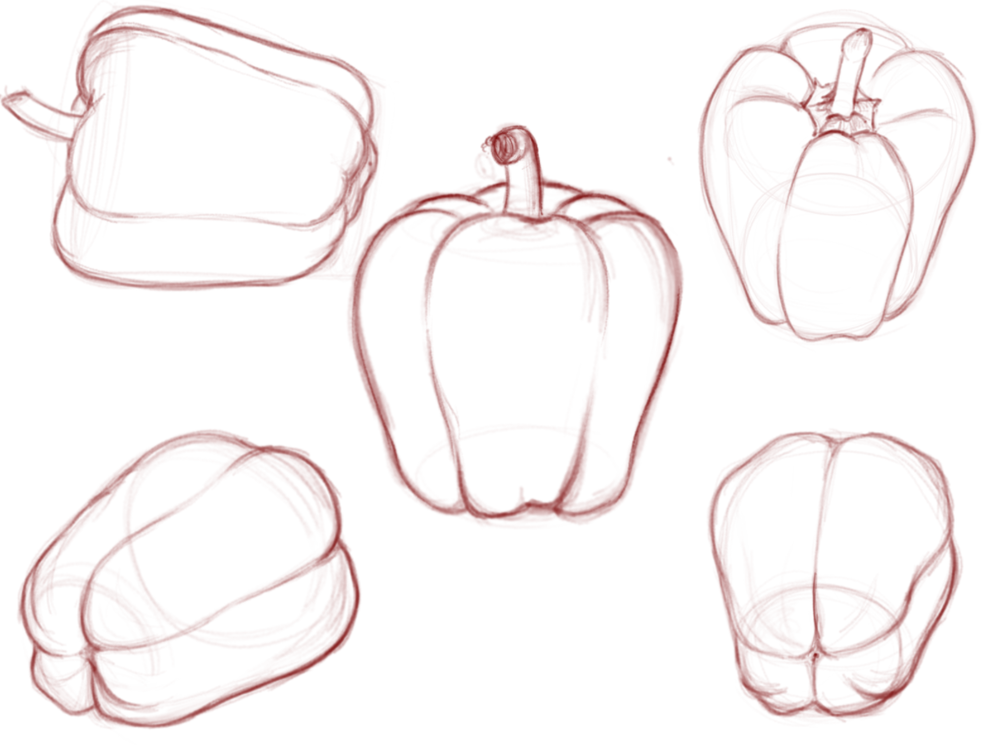 drawing of a pepper
