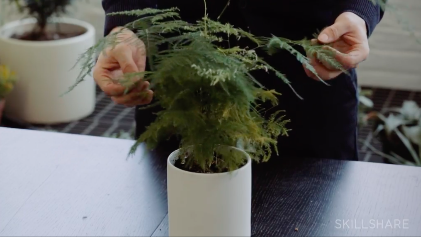 Regularly check your plants to make sure they’re thriving.