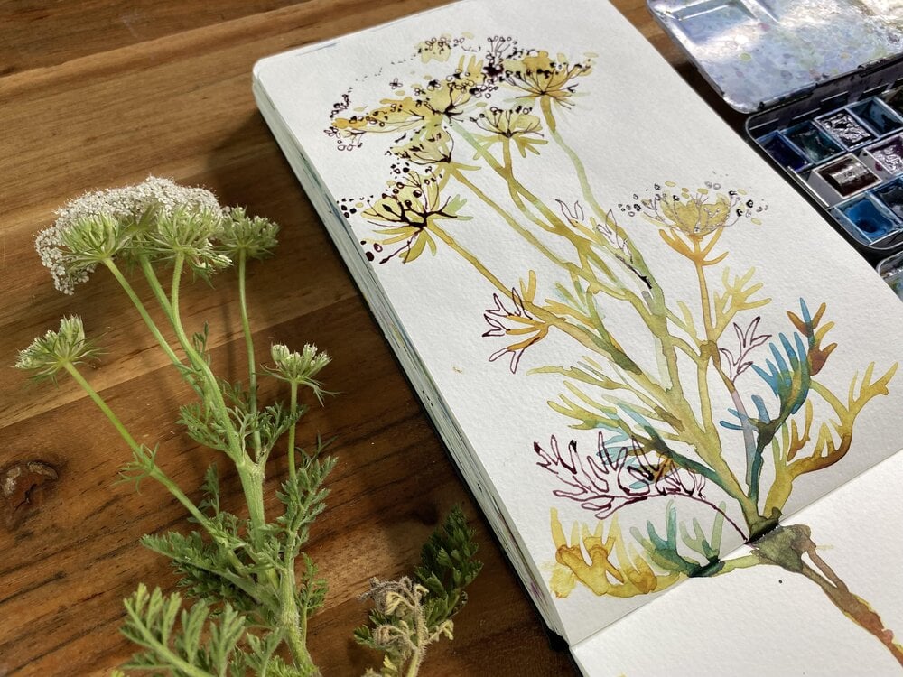 Art by Ohn Mar Win from her Skillshare Staff Pick “Organic Expressive Florals With Watercolor and Ink”