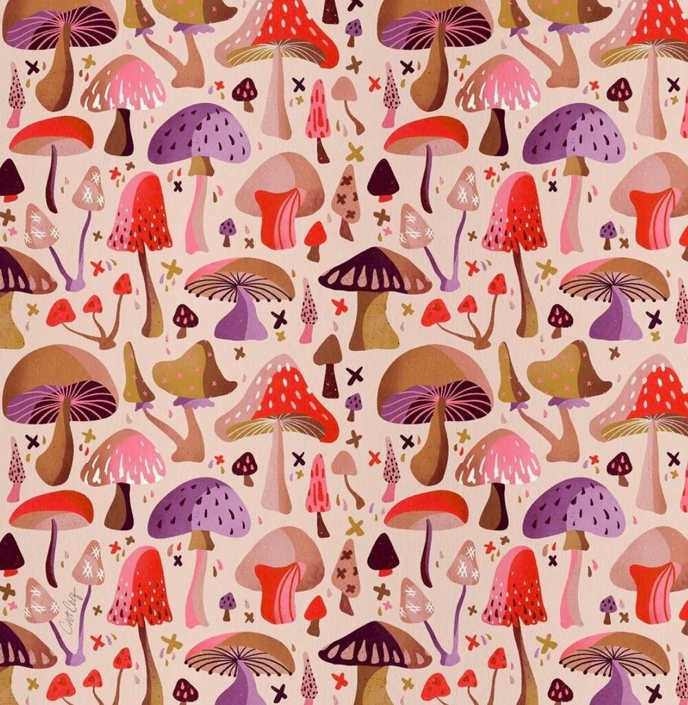 Image via Instagram  Mushroom Collection by Cat Coquillette.