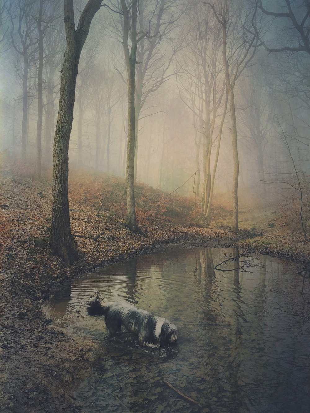 © Catherine Cliffe