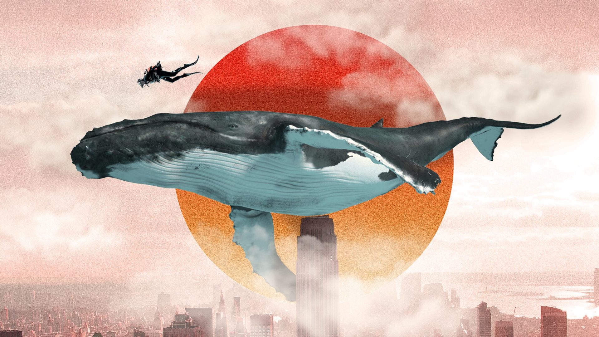 3 Free Stunning Desktop and Mobile Wallpapers | Skillshare Blog