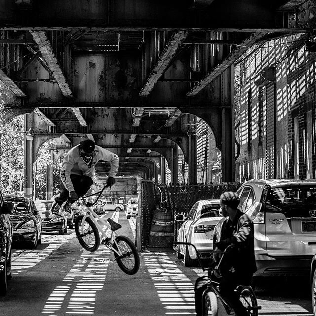 Photo by Steve Sweatpants, @stevesweatpants