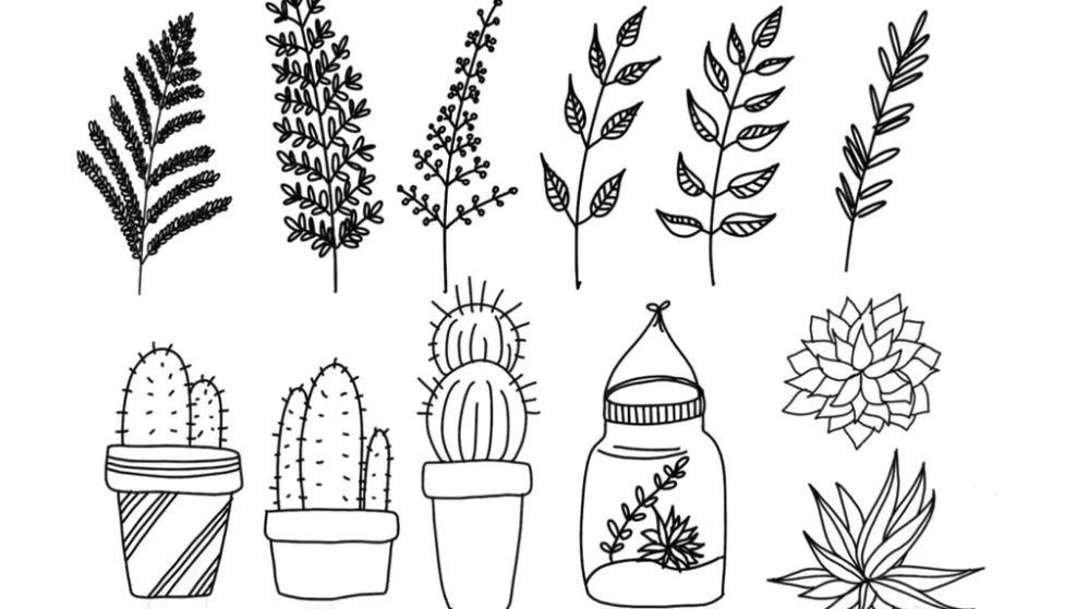 Line Drawing: Ideas and a Guide to Get You Started  Skillshare Blog