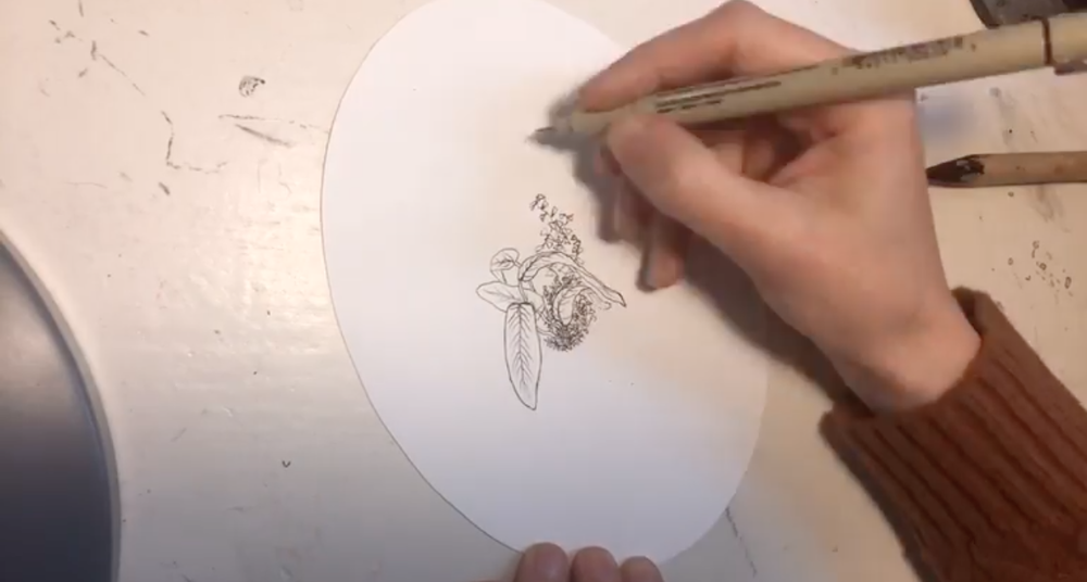 Skillshare instructor  Marie-Noëlle Wurm  sketches out a plant drawing.
