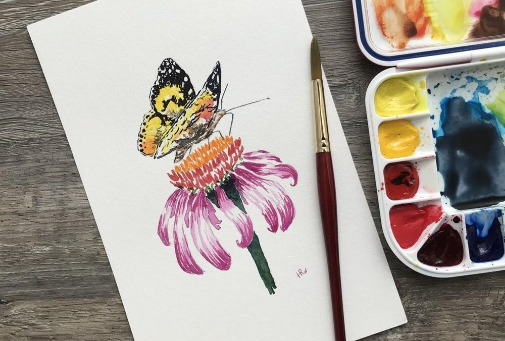 A side view of a butterfly on an echinacea flower by Skillshare instructor Rebecca Humphreys.