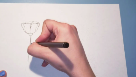 Line drawings are known for their simplicity and elegance.