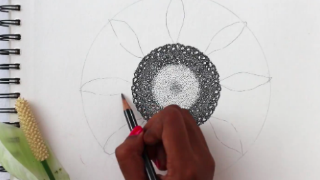 Sunflower petals are shaped like teardrops, with a point on each end.