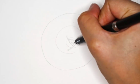 As with other flowers, rose drawings are based on a series of lines and circles.