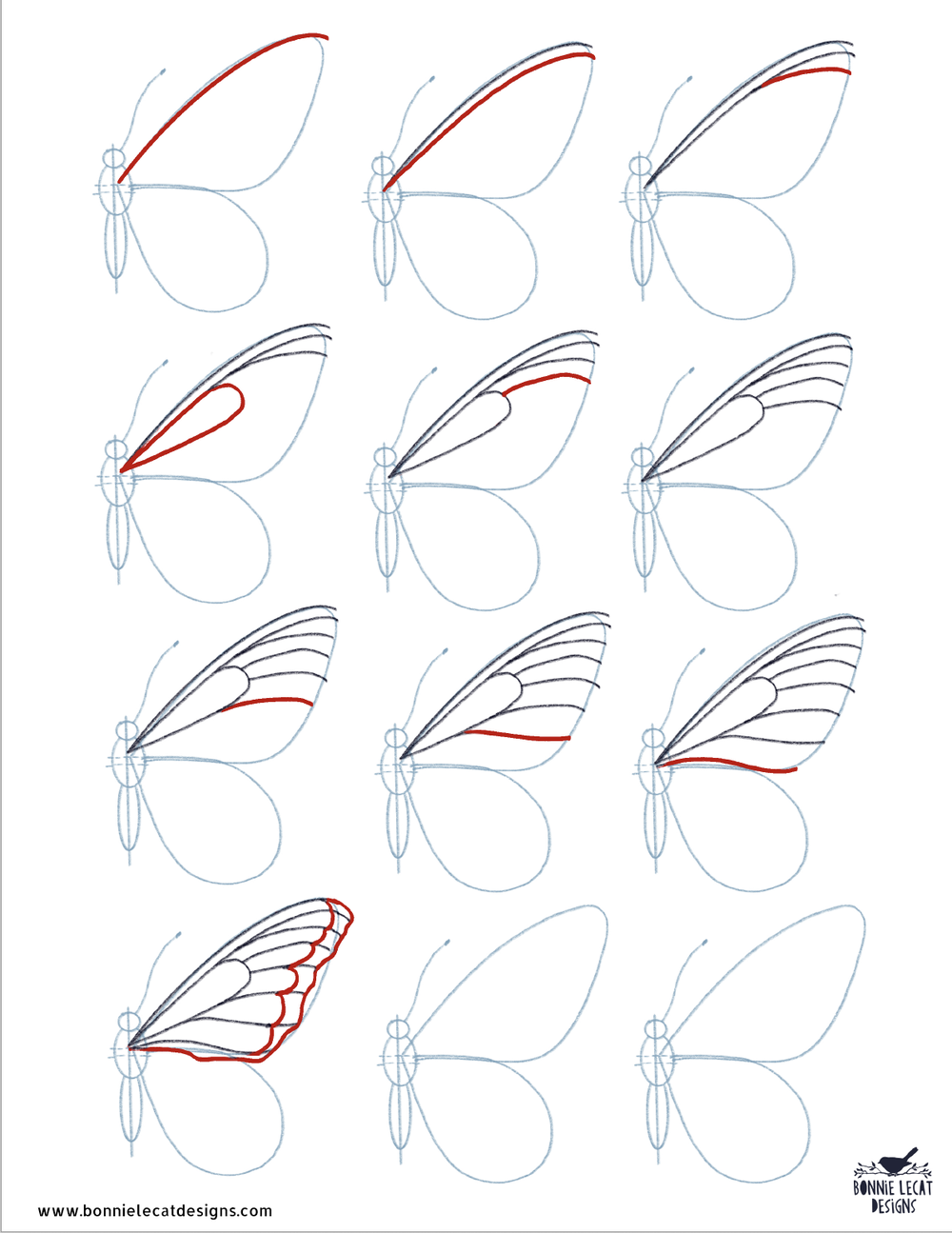 How To Draw A Butterfly Step By Step