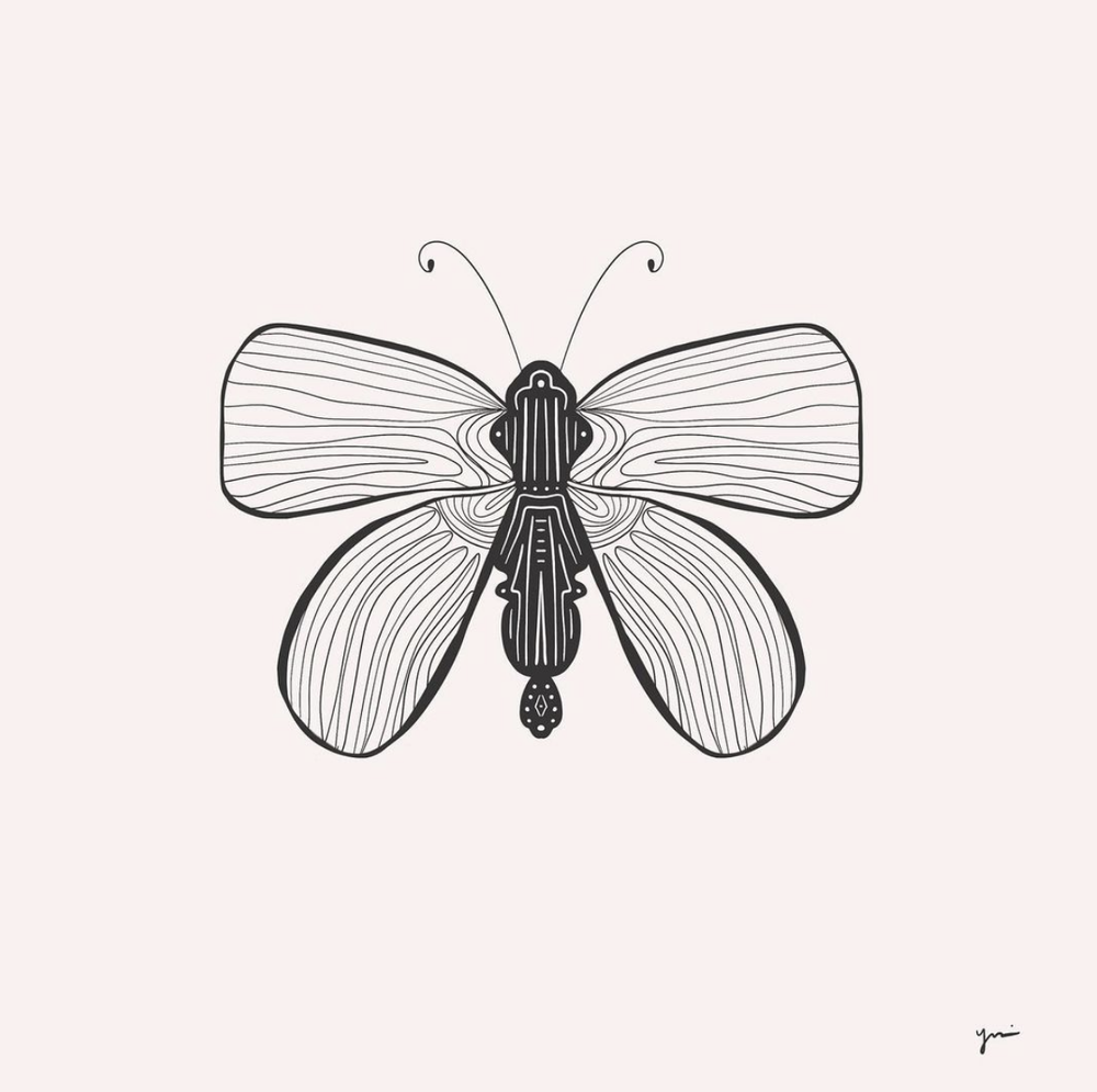 Instagram user @sfchicky shows how you can use your own patterns to make great butterfly line drawings.