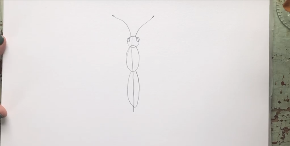 Before moving on to the wings, finish the butterfly's body outline by adding the eyes and the antennae.