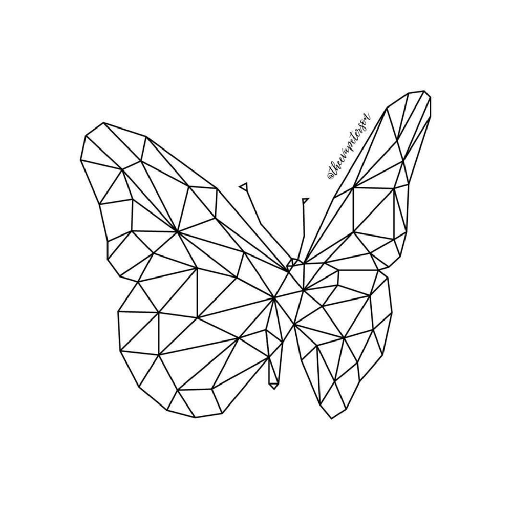 Geometric butterfly line art by Instagram user   theevapeterson