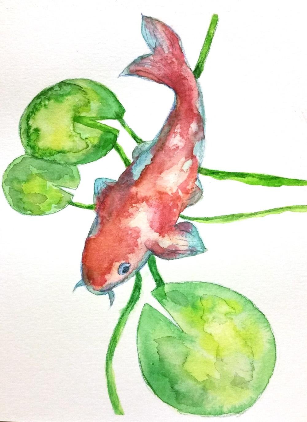 „Procreate Koi Fish“ von Stephanie B.