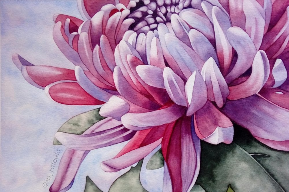 Watercolor by Skillshare student Rafaela L for Top Teacher Louise De Masi’s class , Master Watercolour Techniques: Paint a Watercolour Chrysanthemum Painting onto a Board