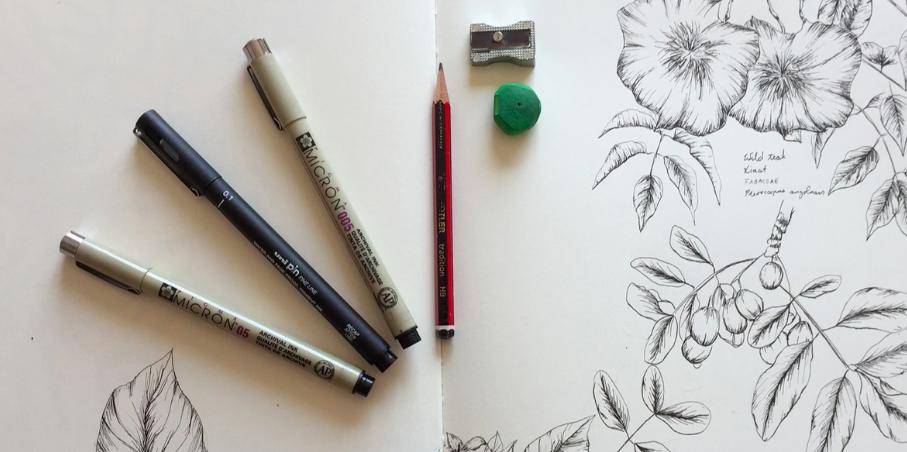 How to Draw Flowers: A Step-By-Step Tutorial by Artists for ...