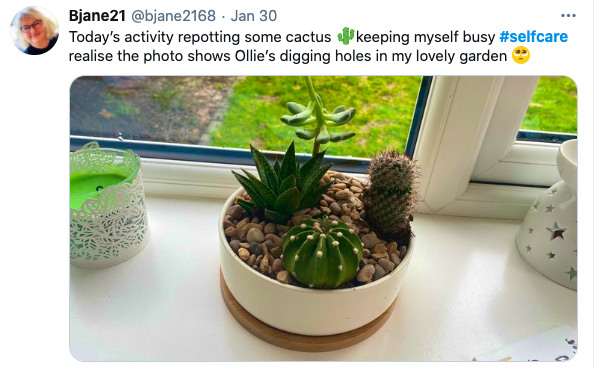 A little greenery will brighten up any self care Sunday!