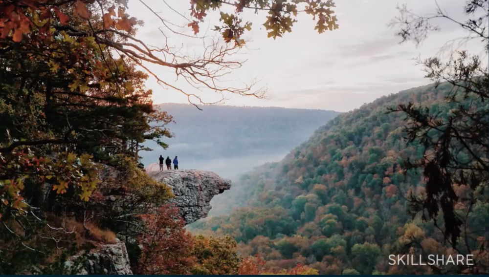 capture fall foliage