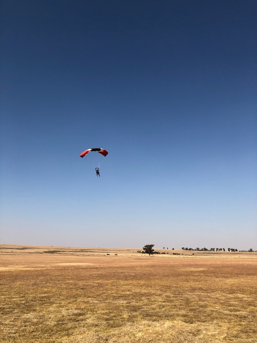 Don’t be afraid to jump, just make sure you plan to land safely ( image source )