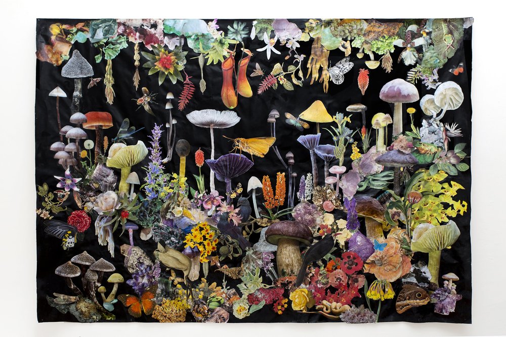 The Forest Dark by Clare Celeste Börsch. Photo: Mar Martin