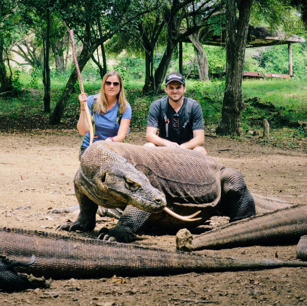 Komodo.jpg