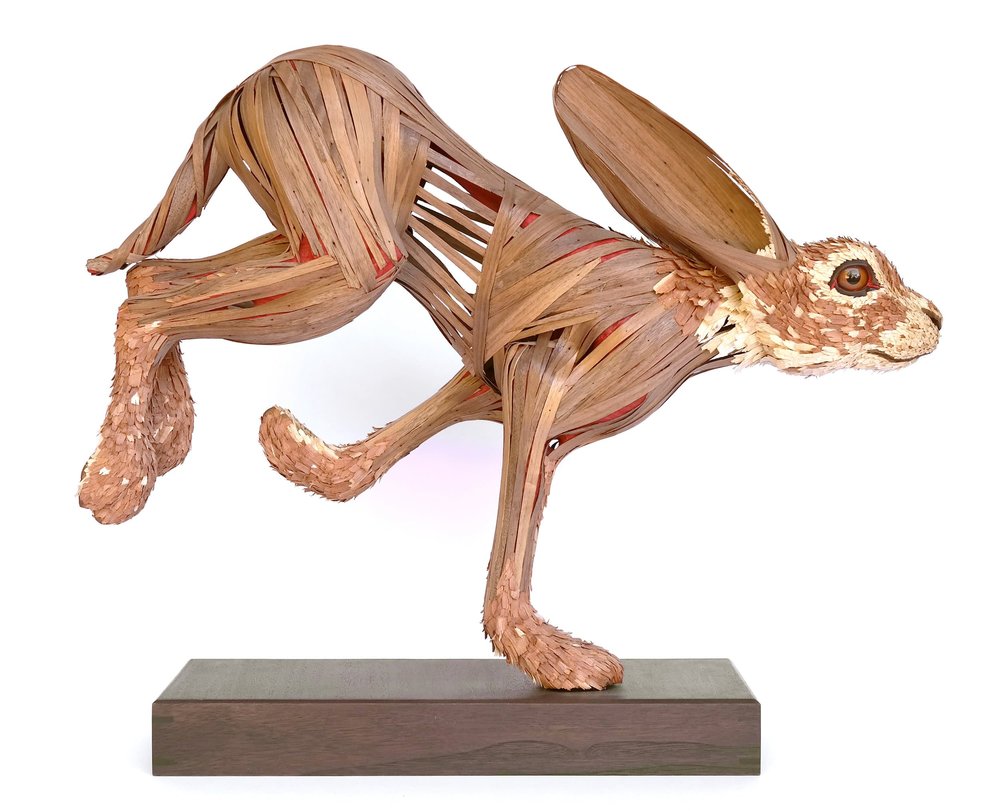 ‘Lepus Californicus’ © Michael Alm