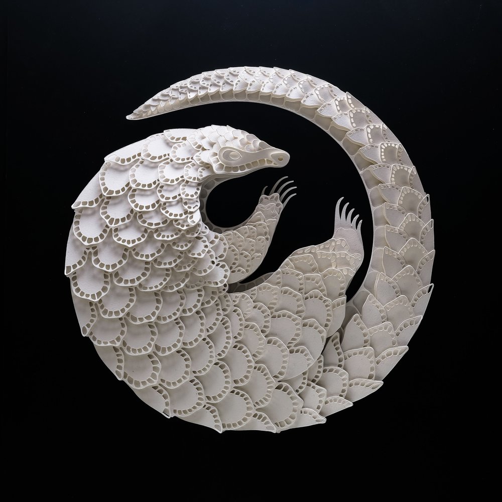 Pangolin by Patrick Cabral