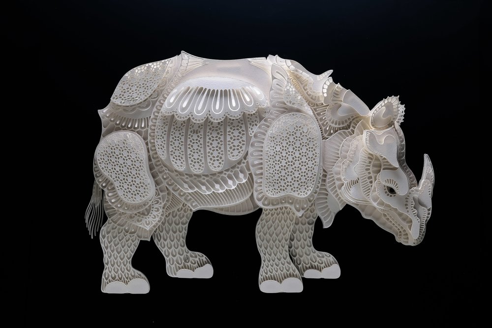 Rhino by Patrick Cabral