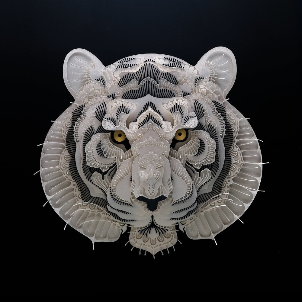 Tiger by Patrick Cabral