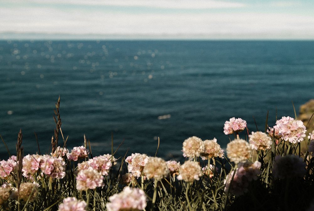 ( image source )