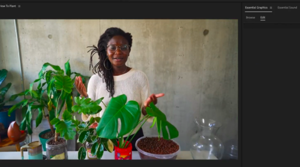 Mergulhe em detalhes da criação de vídeos tutoriais incríveis com uma profissional que ama plantas.