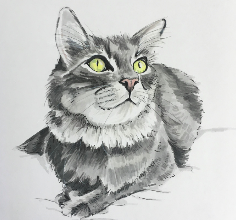 Morgan Swank finished her cat portrait by adding details with markers.