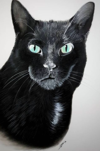 Image via  Instagram   A striking black cat portrait by Robert Bateman