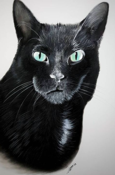Image via Instagram A striking black cat portrait by Robert Bateman