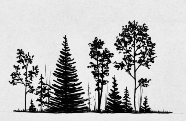 Simple trees by Skillshare instructor Jen Aranyi.