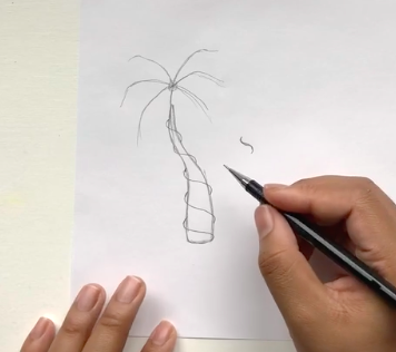 Add details to your palm tree to make your drawing complete.