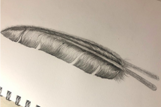 Simple yet detailed, an image of a feather is an ideal subject for practicing pencil drawing techniques. 