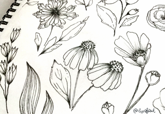 Flower sketches by Skillshare student Lysified. 