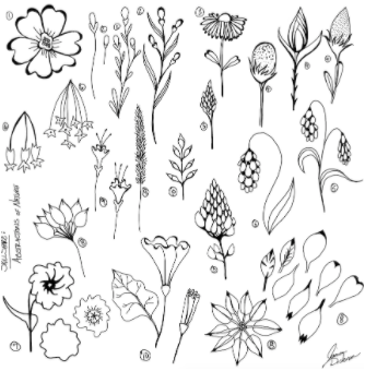 Bocetos de una variedad de flores de la estudiante de Skillshare, Jessica D.