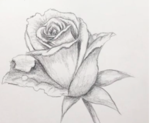 Even beginners can draw this simple rose, based on a tutorial by Skillshare drawing teacher Emma Smith.